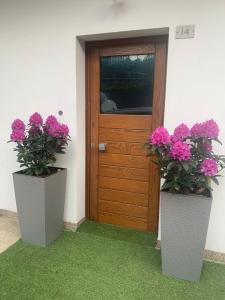 two vases with flowers in them in front of a door at Appartamento Carducci in Pieve di Cadore