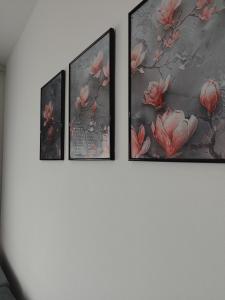 鲁马Studio29 2的相册照片