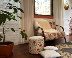 a living room with a chair and a plant at CHALÉ AZALÉA Lindo chalé NO CAMPO com roupas de cama e banho impecáveis, Wi-Fi StarLink de alta velocidade, cozinha equipada, estacionamento privativo, decks, jardins, lareiras, conforto, privacidade e belíssimas paisagens in Cunha