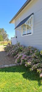 Dangerfield Oaks Boutique Cottage's外面的花园