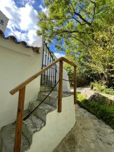 a set of stairs with a wooden rail next to a tree at Molino Angorrilla in Cádiz