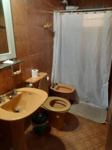 a bathroom with a toilet and a sink and a shower at Maray Loft in Puerto Iguazú