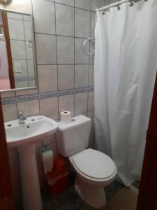 a bathroom with a toilet and a sink and a mirror at Maray Loft in Puerto Iguazú