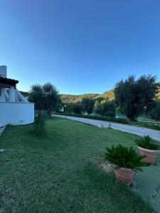 a yard with two potted plants and a road at Villetta Roberto Le Macine di Charme - Pugnochiuso Resort in Vieste