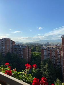a view of a city from a balcony with red flowers at Vintage Cozy Suite in Vodno