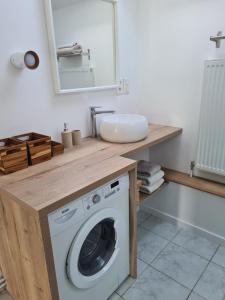 a bathroom with a washing machine under a sink at Les Hirondelles in Baguer-Pican