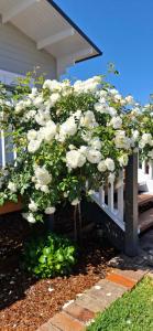 Dangerfield Oaks Boutique Cottage's外面的花园