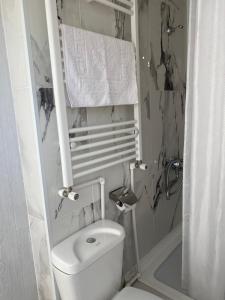 a white bathroom with a toilet and a shower at Guest house in avlabari in Tbilisi City