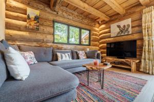 a living room with a couch and a tv at Chalet Chataigne - Magnifique vue montagne in Cornimont