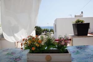 Gallery image of Casa Vacanza Del Prof in Andrano +38 photos
