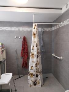 a bathroom with a shower with a shower curtain at Magistic Handi in Perpignan +31 photos
