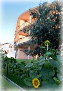 a building with a tree and a sunflower in front of it at Casa vacanze La Veranda in Acri