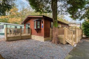 a small wooden cabin with a tree at Firgarth Lodge in Windermere