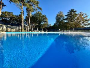a large pool of blue water with trees in the background at Folga Resort in Mrzeżyno