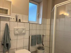 a bathroom with a shower and a toilet and a window at Geräumiges Haus mit viel Platz, Garten und den Parkplätzen in Jübek +16 photos