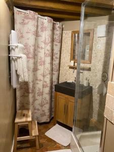 een badkamer met een douchegordijn en een wastafel bij Le Colombier d Yville in Héronchelles