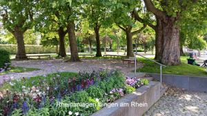 Ein Garten an der Unterkunft Ferienwohnung Aspisheim