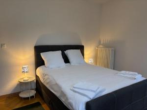 Postel nebo postele na pokoji v ubytování Charmant appartement au cœur de Sion + 12 fotografií