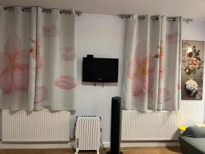 TV a/nebo společenská místnost v ubytování Lovely apartment near Gatwick airport
