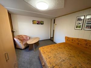 Katil atau katil-katil dalam bilik di Apartmány U sjezdovky Janské Lázně