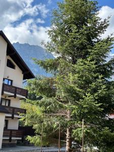 En generel udsigt til bjerge eller udsigt til bjerge taget fra lejligheden