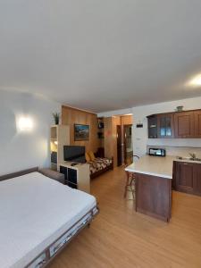 Nhà bếp/bếp nhỏ tại Bilocale Alberti - Ragada