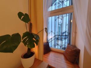 a plant sitting on a table next to a window at B-4 Kraków Stary Kazimierz O&P ApartFamily in Kraków