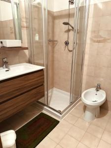 a bathroom with a shower and a sink and a toilet at Il Cirmolo delle Saline in Falcade