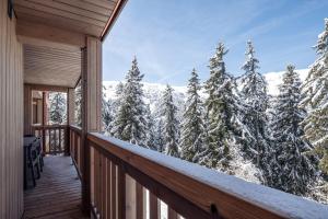 Antarès URSA 301 - luxury apartment ski inski out om vinteren + 6 billeder