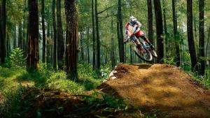 a person riding a dirt bike in a forest at Leatherbark 103A 3BR 2BA Quiet And Serene Private Deck WiFi in Snowshoe