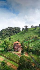 Paesaggio naturale nelle vicinanze della stanza in casa privata