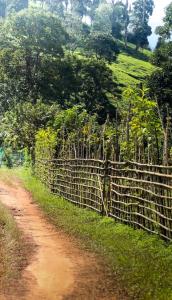 Paesaggio naturale nelle vicinanze della stanza in casa privata