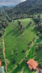 Paesaggio naturale nelle vicinanze della stanza in casa privata