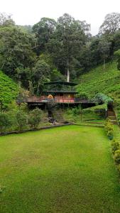 Giardino di Janiro Tea Trees Villas