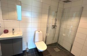 a bathroom with a shower and a toilet and a sink at Saxnäs Ferieboende Odin in Färjestaden +10 photos
