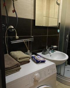 un bagno con lavatrice e lavandino di Apartman 11 a Leskovac Altre 18 foto