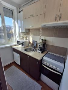 a small kitchen with a sink and a stove at Studio Elvetia in Deva