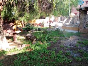 a garden with a bench under a tree at La Pirquita in Tilcara