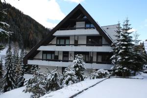 Ski- und Wander Appartements Schiffer talvel