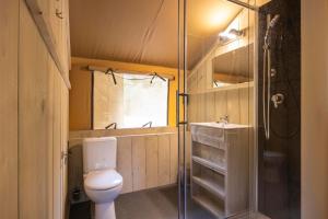 a bathroom with a toilet and a shower and a sink at Arden Parks Signy l'Abbaye in Signy-lʼAbbaye +28 photos