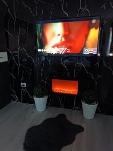 TV a/nebo společenská místnost v ubytování Stan u centru