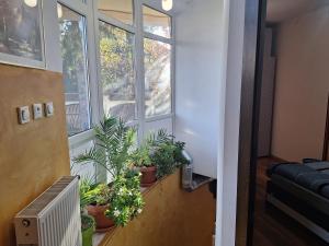 Gallery image of Panoramic Apartment in Târgu-Mureş