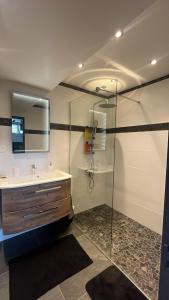 a bathroom with a glass shower and a sink at Studio aux pieds des vignes in Eguisheim +37 photos