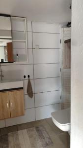 Ένα μπάνιο στο YALET Ferienhaus 2 appartementen vlakbij Willingen +78 φωτογραφίες