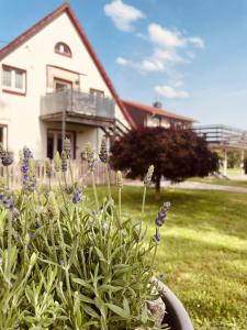 Zahrada ubytování Ferienanlage Dornröschenblick