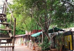 a group of buildings with trees in front at Paljas Backpackers in Potchefstroom