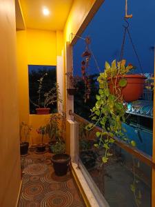 a room with potted plants on a balcony at La Baie Homestay in Puducherry