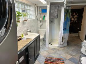 a bathroom with a sink and a toilet and a shower at Private Studio Apartment-Pet Friendly in Downers Grove +13 photos