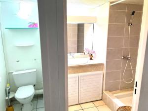 un bagno con wc, lavandino e doccia di Studio vue mer & accès plage a Le Gosier