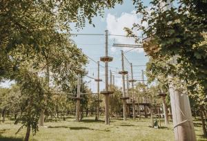 Giardino di The Hang Over